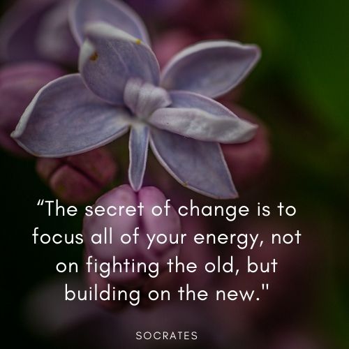 Faded pastel violet colored flower and magenta colored buds, very shallow focus with green leaves out of focus in the background. Text over image reads: "“The secret of change is to focus all of your energy, not on fighting the old, but building on the new. Socrates"